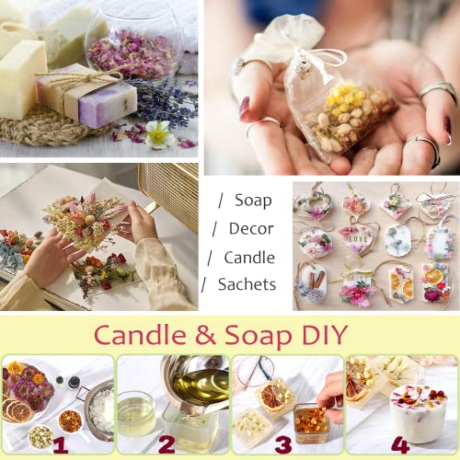 Latest] Pack Dried Flowers for - Candle Making Kits recensie en prijs