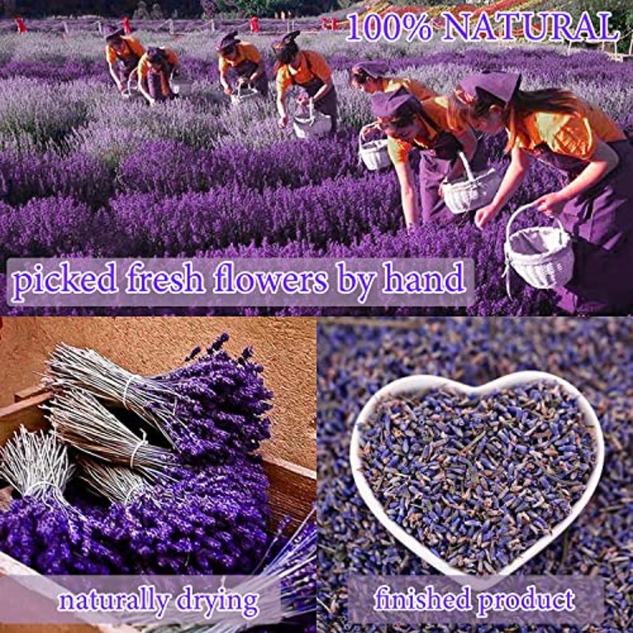 20 Bags Dried Flowers, 100% Na - Candle Making Kits recensie en prijs